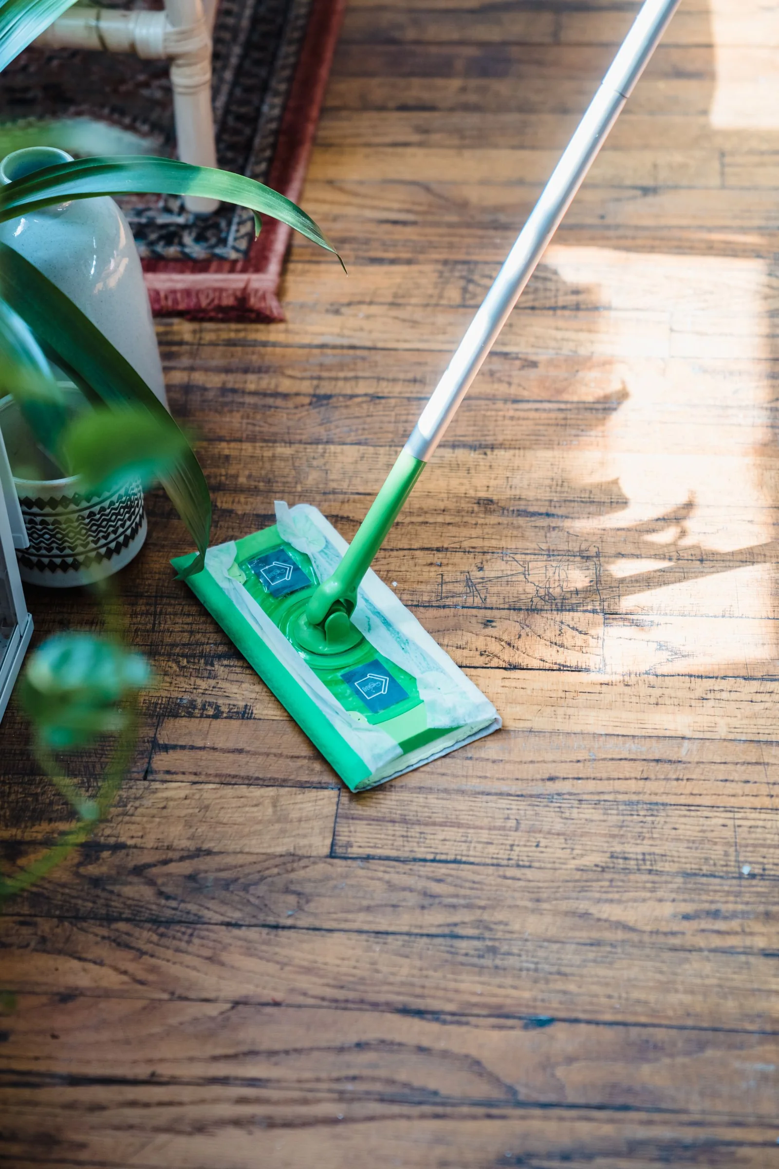 Green flat mop on a sunlit wooden floor beside indoor plants.